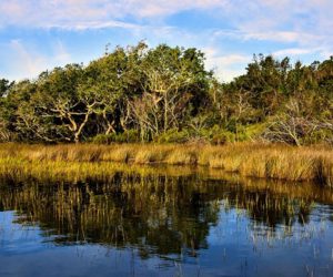 NC Coastal Federation