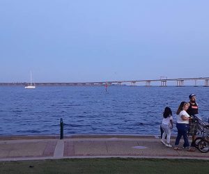 Neuse River from Union Point Park