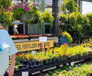 New Bern Farm and Garden