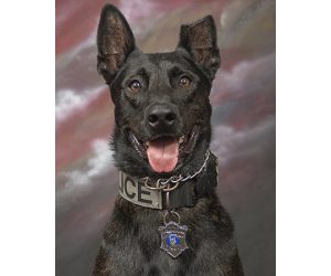 Passing of New Bern Police K-9 Lok