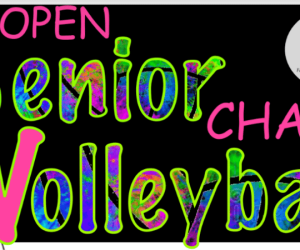 Senior volleyball poster