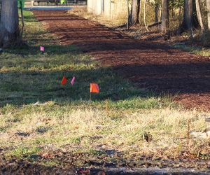 Newly developed path in Duffyfield community of New Bern, NC. (Photo by Wendy Card)