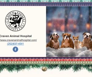 Pet Photos with Santa