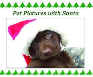 Pet Pictures with Santa