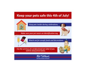 Pet Safety 4th of July