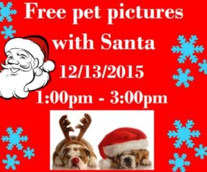 Pet pictures with Santa