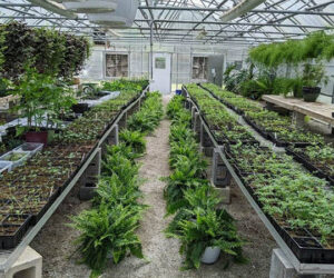 West Craven High School Plant Sale Fundraiser