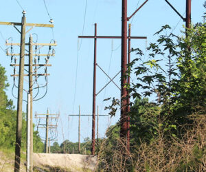 Power lines (Photo by NewBernNow.com)