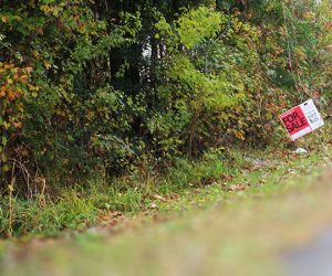 "Property for sale" signs in the city of New Bern's redevelopment zone. (Photo by Wendy Card)
