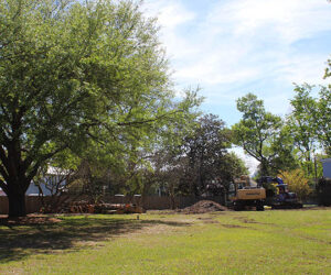 Rhem Avenue property where the Tisdale House will be located. Photo by Wendy Card.