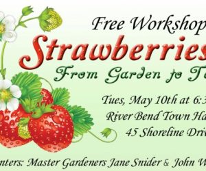 River Bend Community Garden - Free Workshop