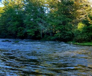 River Flooding after Florence