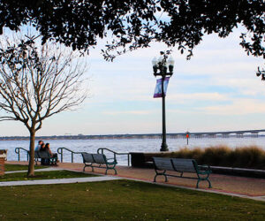 Riverwalk in New Bern, NC (Wendy Card)