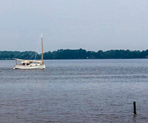 Sailing on the Neuse River. (Wendy Card/NBN)