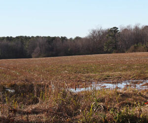 Proposed site of Riverside Leadership Academy. (NBN Photo)