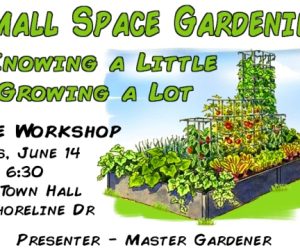 Small Space Gardening Workshop