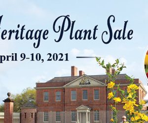 Spring Heritage Plant Sale