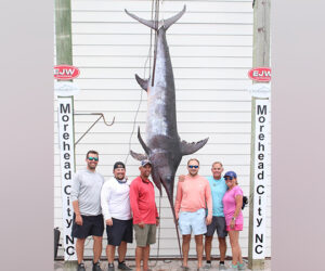 Record Swordfish