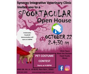 Synergy Interactive Veterinary Clinic
