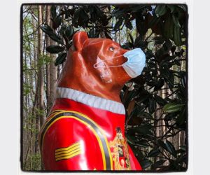 Taberna Bear by Rich and Sallianne Sheridan