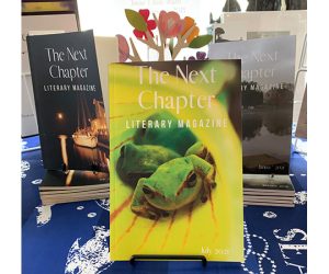The Next Chapter Literary Magazine