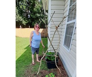 The Zucchini Experiment