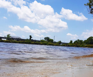 Trent River Bridge