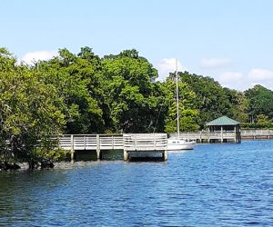 The banks of the Trent River in New Bern, NC