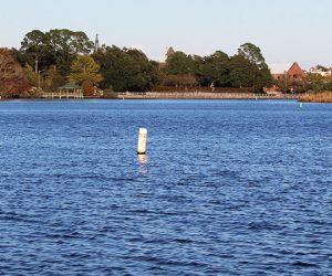 Trent River in New Bern, NC (Photo by Wendy Card)