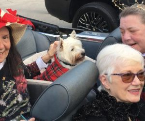 rent Woods Garden Club Christmas Parade members in convertible