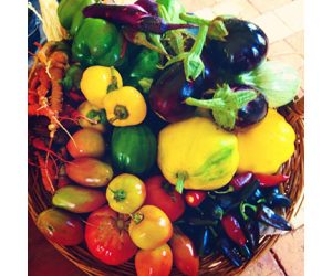 Tryon Palace Garden Lecture