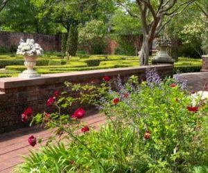 Garden at Tryon Palace