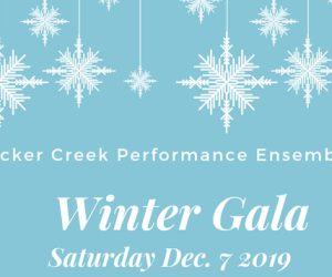 Tucker Creek Performance Ensembles Winter Gala