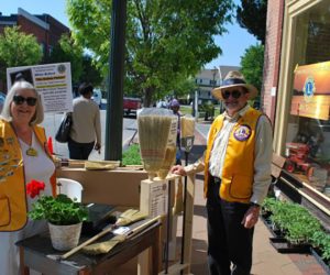 Twin River Lions Club Broom Sale