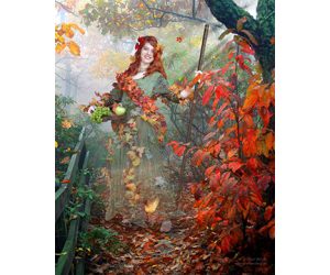 Craven Arts Council and Gallery