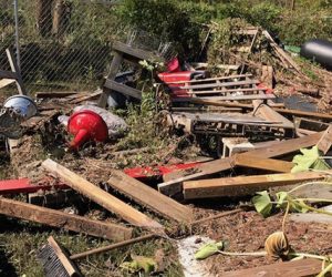 Veterans Organic Garden Hurricane Florence
