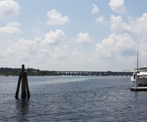 View from Riverwalk