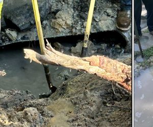 City of New Bern Water Resources crews respond to two issues in New Bern, NC. (Screenshots of city photos)