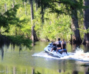 Waterskiing in Brices Creek