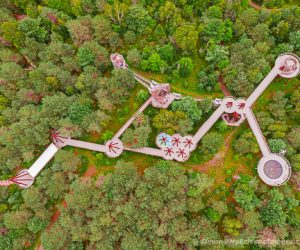 Wild Center by Simon Lock of My Eclectic Images