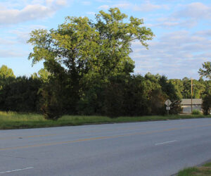 Vacant lot at Neuse Boulevard and Kensington Park Drive in New Bern, NC. (Photo by Wendy Card)