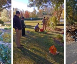 PHotos marines working in garden