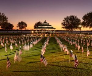 Field of flags at Union Point in New Bern NC (photo by Tom McCabe)