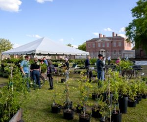 Garden Lovers Weekend