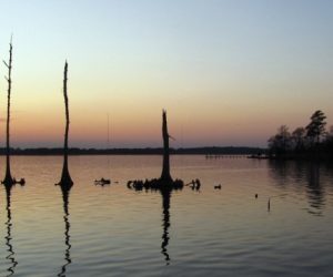 Neuse River