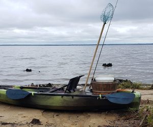 Water Wise by Todd Burrier