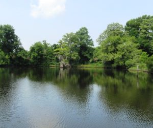 Craven County Clean Sweep